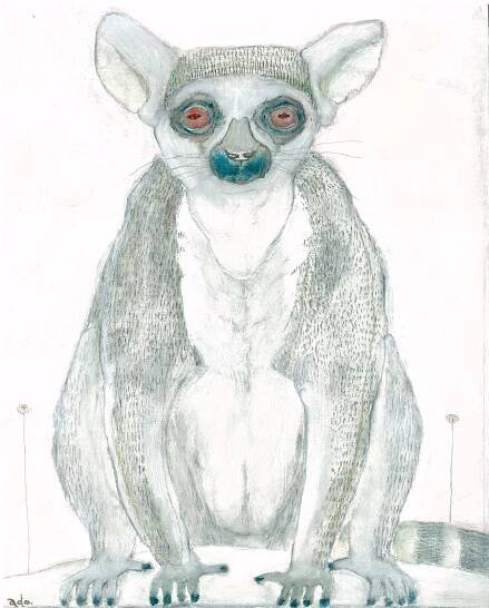 animal portrait i“ iru “ | ado(makiko watanabe) homepage