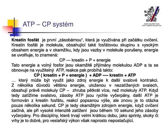 PPT - Trénink podle prahových hodnot PowerPoint Presentation, free download - ID:3255467