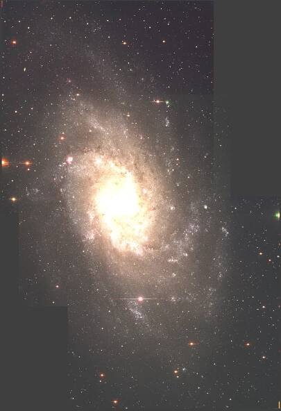Local Group Galaxies Survey