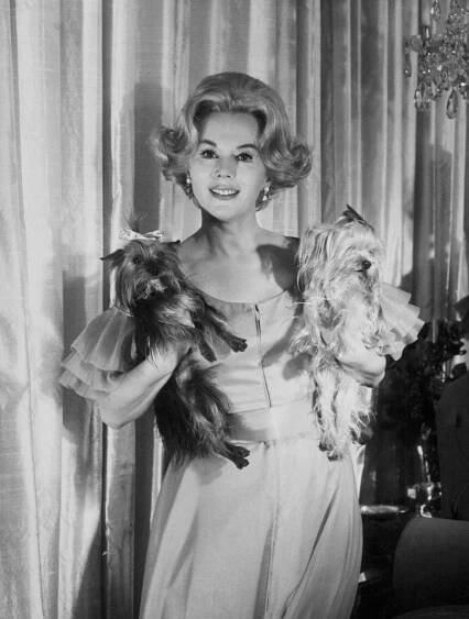 Eva Gabor Holding Her Two Small Dogs, 1960.