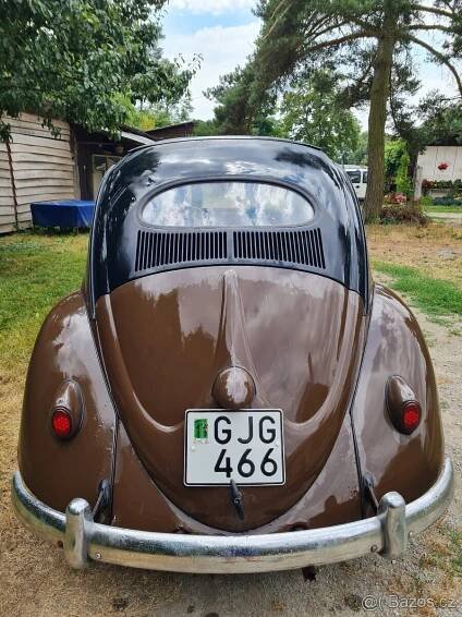 Brouk 1954 oval zadní okno - Brno venkov