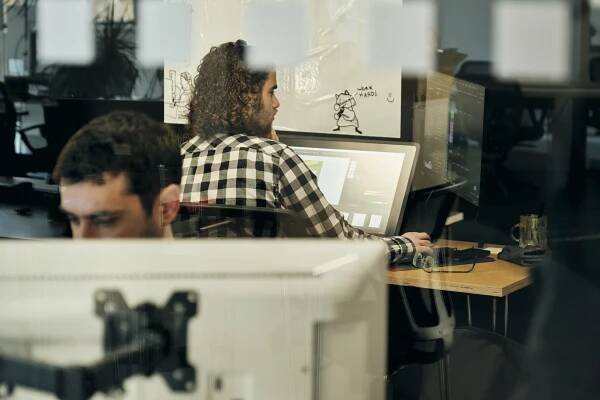 Company — Viridian Software