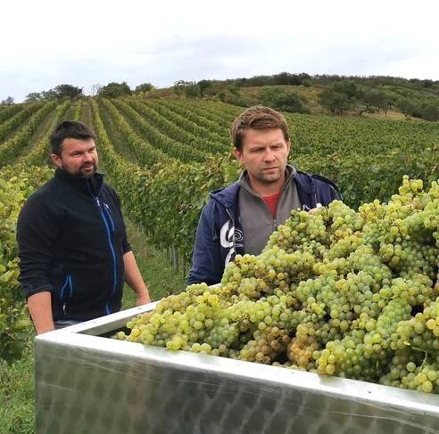 Vinařství Vajbar Kobylí | Poznejte naše vinařství
