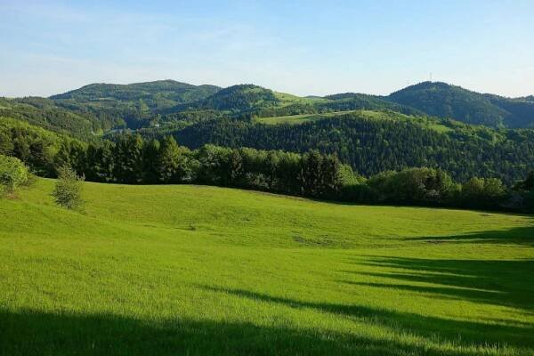 Cestou na Zlatý vrch