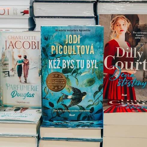 Když se nečekaně všechny plány změní: Recenze knihy Jodi Picoultové Kéž bys tu byl 2