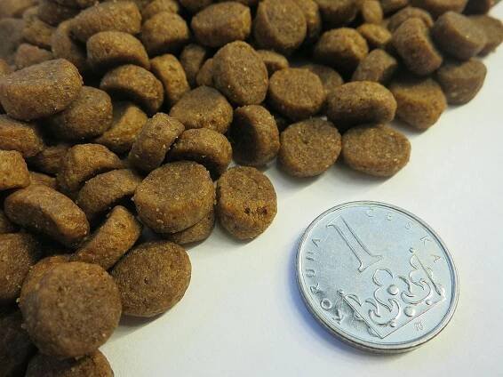 Taste of the Wild High Prairie Puppy