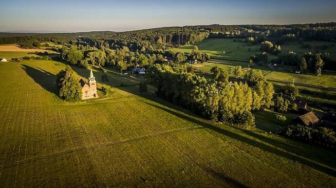 Borovnička