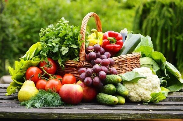 SCD dieta