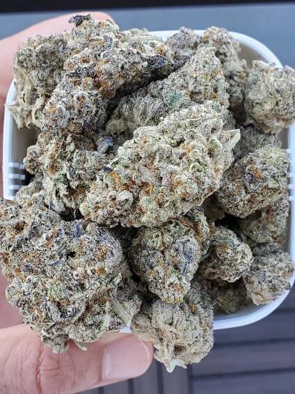 Buy Mcflurry Weed Strain Online in UK