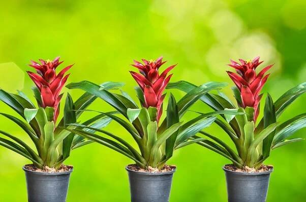 shutterstock_357664076