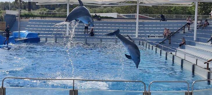 V delfináriu Marineland vás nadchne lachtaní, delfíní a papouščí show i krmení tučňáků.  Foto: autorka