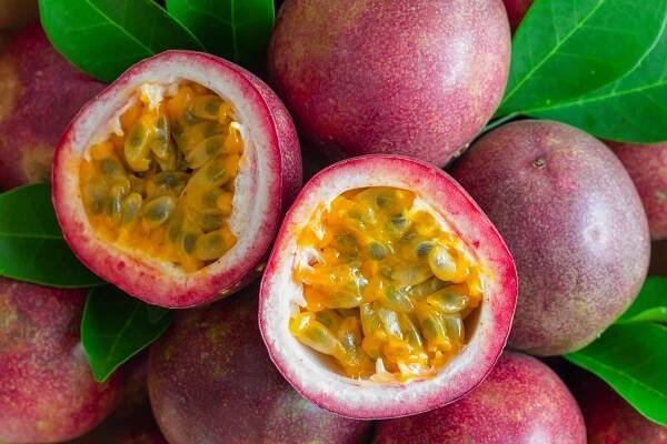 Galerie - Pěstujeme exotické druhy ovoce: Kaki, nashi, papája, tamarillo i granátové jablko - AbecedaZahrady.cz
