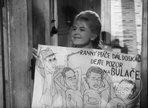 Tažní ptáci - Národní filmový archiv