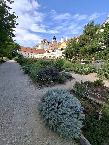 Fotogalerie • Bylinková zahrada Lu & Tiree Chmelar Valtice (Zahrada, park) • Mapy.com