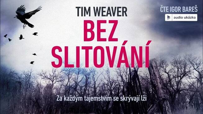 Tim Weaver - Bez slitování