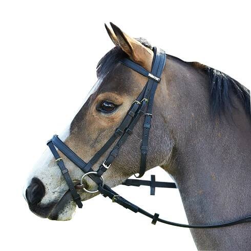 Wintec Bridle with Hanoverian Noseband (Flash) - 315:30279291666520,30279291699288,30279291732056