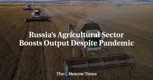 Russia’s Agricultural Sector Boosts Output Despite Pandemic - The Moscow Times