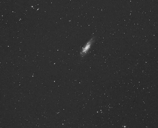 Hawaiian Astronomical Society - Coma Berenices
