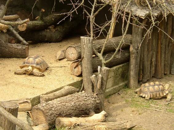 Zoopark Zájezd - otevírací doba, vstupné, ubytování, zvířata, ceník, akce