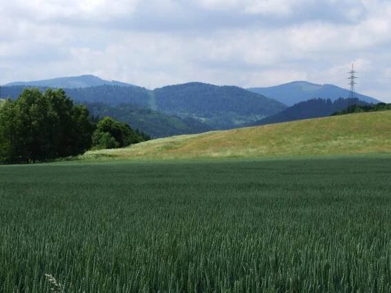 Seznam vrcholů v Levočských vrších