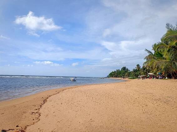 ᐅSri Lanka Reiseblog: Meine besten Tipps für deine Rundreise