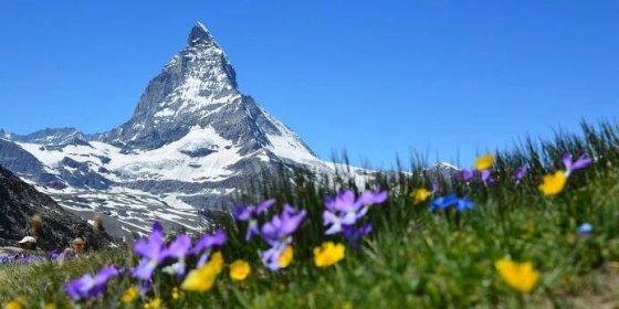 Švýcarsko: Matterhorn, Zermatt, Ženeva a lahodný kousek sýra