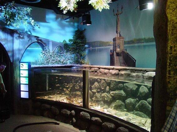 SEA LIFE CENTERS - P&P PROJECTS