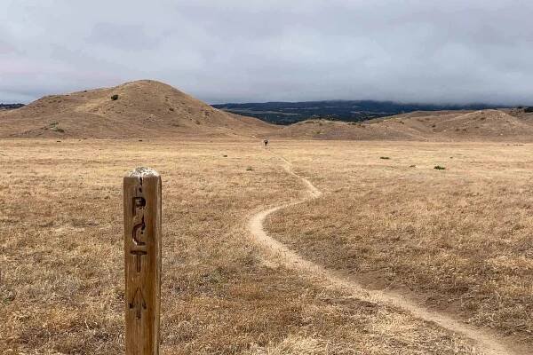 PCT Survey 2021 - Warner Springs Trail