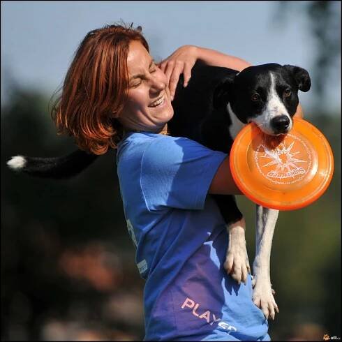 Ulli - Fotoalba - Mistrovství ČR v dogfrisbee - Nymburk 2011