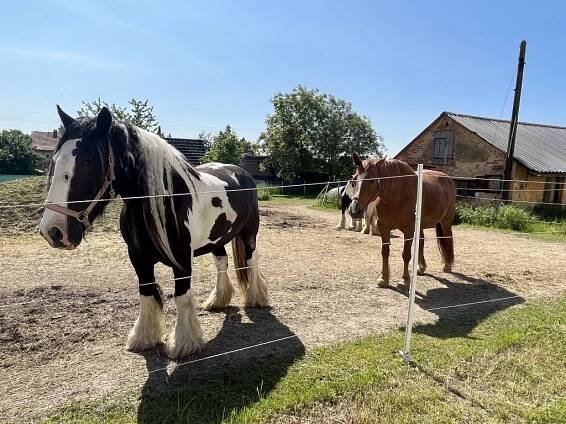Jarošův statek (Kapičky) | Mateřské školy Kopřivnice