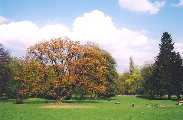 Park Lužánky