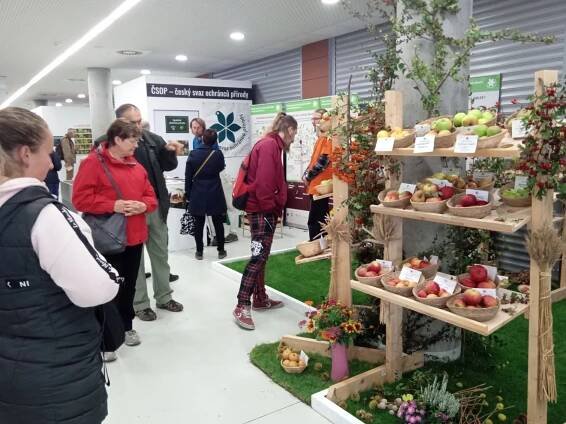 Zemská výstava ovoce starých odrůd 3.-6.10.2024. Kde? Na Hortikomplexu v Olomouci.