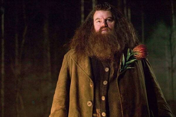 Harry Potter a Ohnivý pohár (2005) - FOTOGALERIE Z FILMU A NATÁČENÍ | DVD-PREMIERY.CZ
