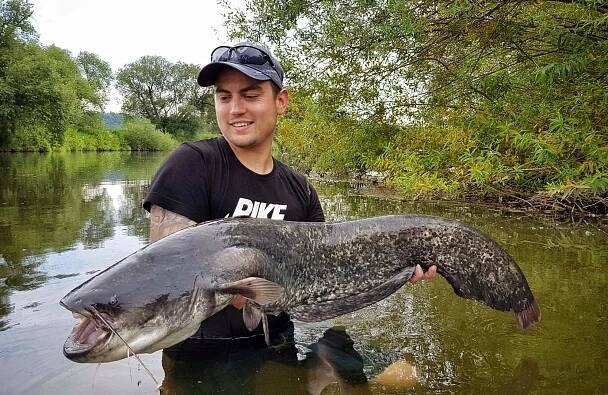 Lov sumců | MV Fishing.cz