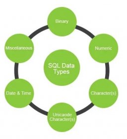 ✅ Datové typy SQL - Top 6 různých typů dat SQL s příklady