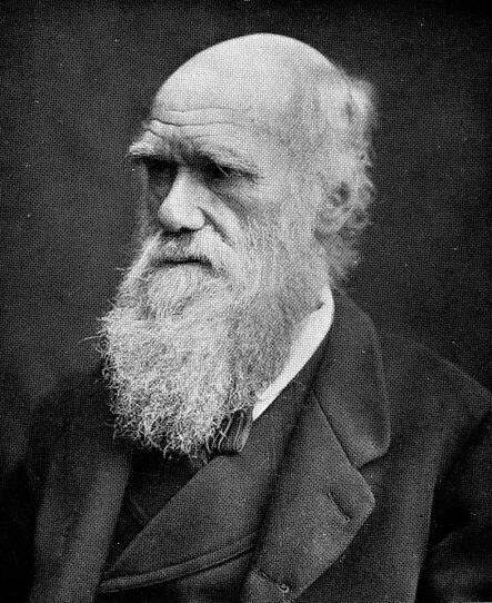 Black and white image of Charles Darwin