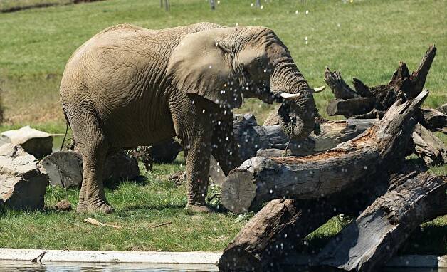 Co se děje v zoo: osm zajímavostí z oblíbené zlínské zoologické zahrady