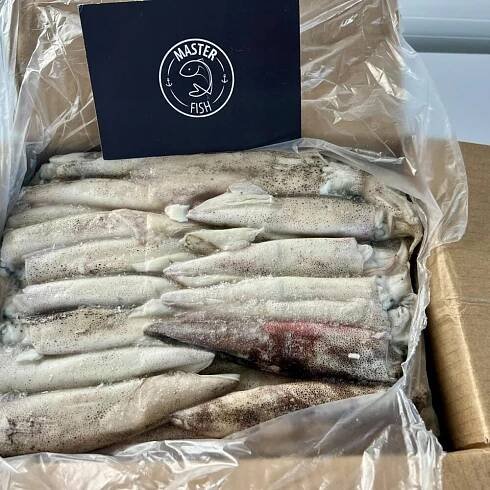 Obchod - Masterfish