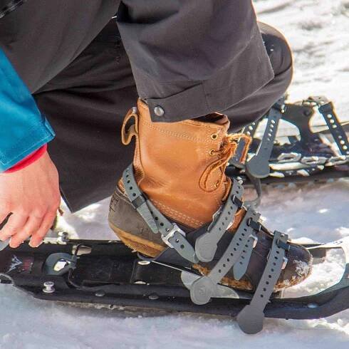 BVMA_Snowshoe_ElkRaven_1.jpg