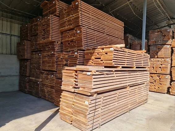 Walkthink, autor en Ferraro Wood Specialist