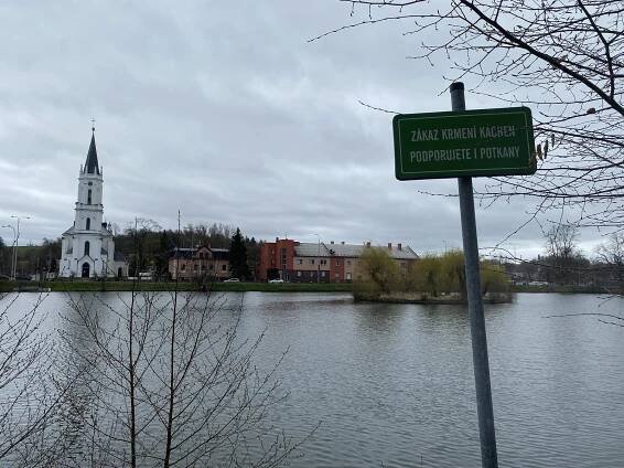 Bruntál plánuje plovoucí molo na Kobylím rybníku. Někteří lidé jsou proti
