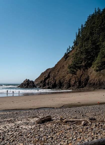 A sandy beach with a large cliff covered in trees