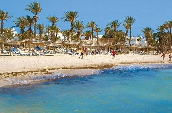Palm Azur
