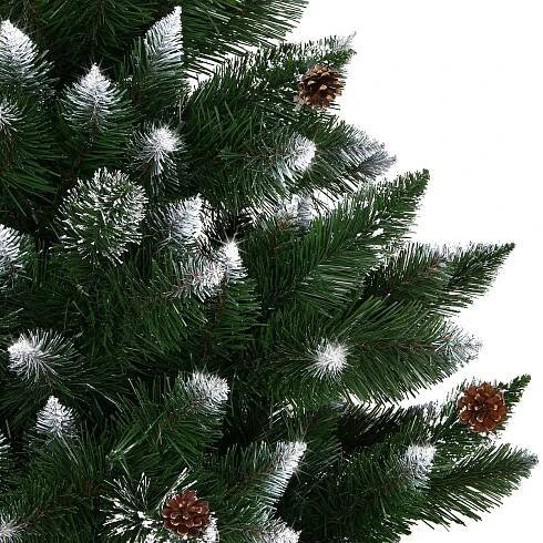 Springos Vánoční stromek borovice diamantová