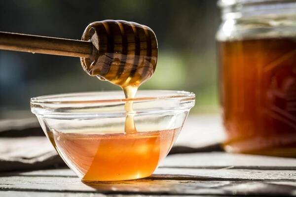 The History of Honey