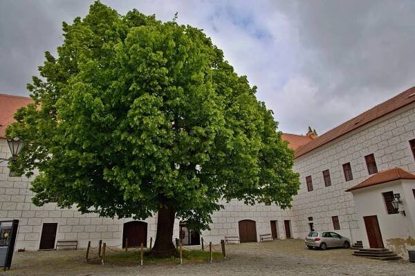 Fotografie - Zámek Třebíč - 19.05.2025