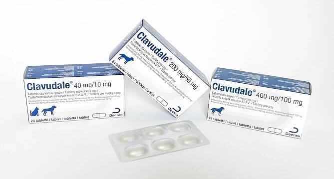 Cena amoxicillin — s vízem online