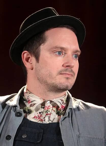Súbor:Elijah Wood (47955397556) (cropped).jpg – Wikipédia