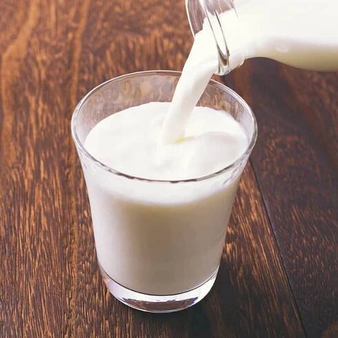 Camel Milk Benefits: Are They Real or All Hype?
