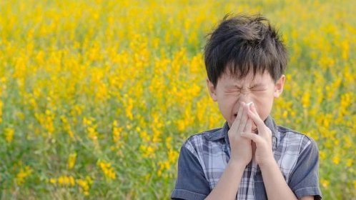 4 věci, na které musíte myslet, pokud vaše dítě trpí sezónní alergií